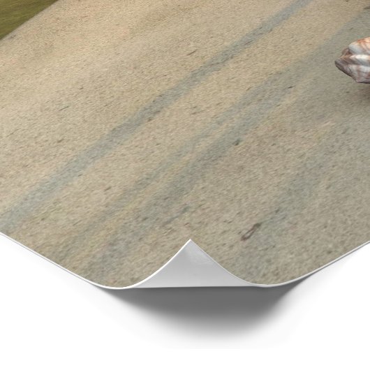 Little Mermaid Poster (Ecke)