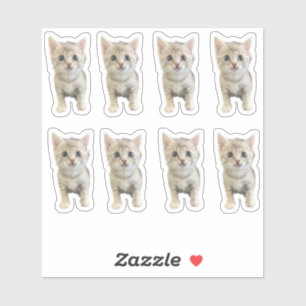 Little Miss Winter - Katze / Kätzchen Aufkleber