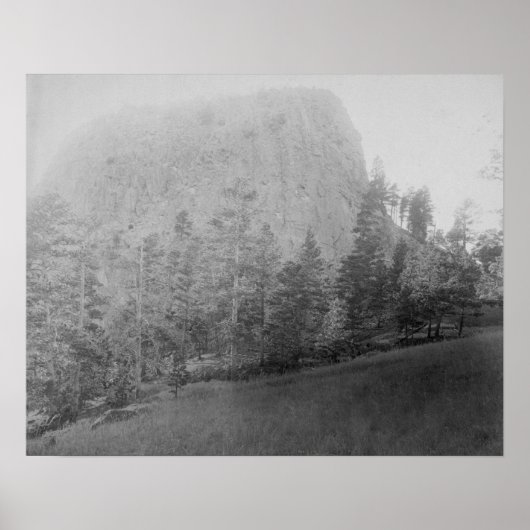 Little Missouri Butte Beyod Field and Trees Poster (Vorne)