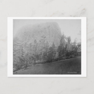 Little Missouri Butte Beyod Field and Trees Postkarte