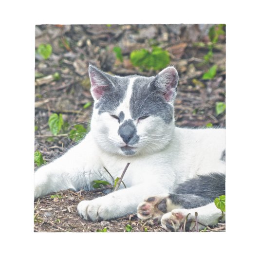 Little Mister Pants Notizblock (Vorderseite)