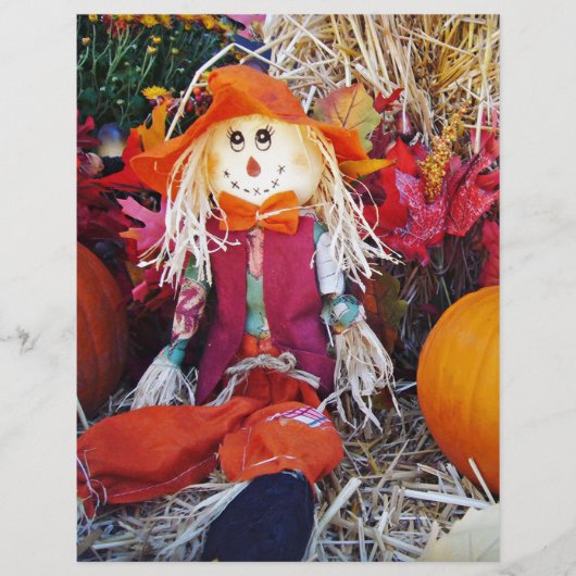 Little Mister Scarecrow (Vorderseite)