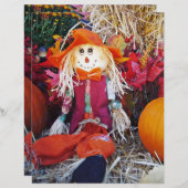 Little Mister Scarecrow (Vorne/Hinten)