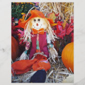 Little Mister Scarecrow (Rückseite)