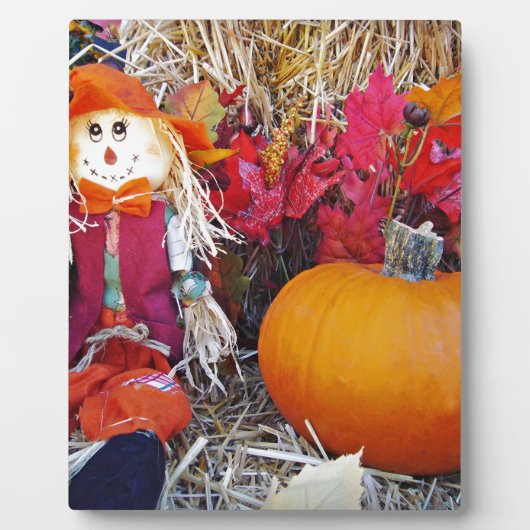 Little Mister Scarecrow Fotoplatte (Vorderseite)