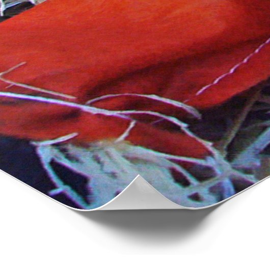 Little Mister Scarecrow Poster (Ecke)