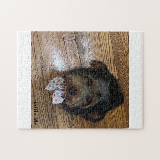 Little Mr. Puzzle (Horizontal)