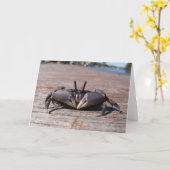 Little Mud Crab Karte (Gelbe Blume)