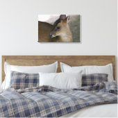 Little Muntjac Leinwanddruck (Insitu (Schlafzimmer))