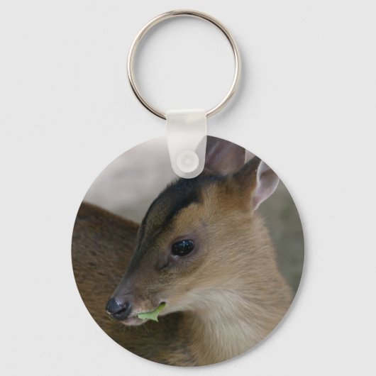 Little Muntjac Schlüsselanhänger (Vorderseite)