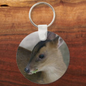 Little Muntjac Schlüsselanhänger (Vorderseite)
