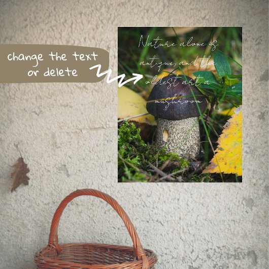 Little Mushroom Poster