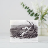 Little Nimble Weasel Postkarte (Stehend Vorderseite)