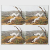 Little Nimble Weasel Putorius agilis Illustration Geschenkpapier (Flach)