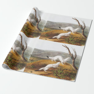 Little Nimble Weasel Putorius agilis Illustration Geschenkpapier