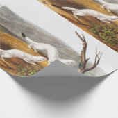 Little Nimble Weasel Putorius agilis Illustration Geschenkpapier (Ecke)