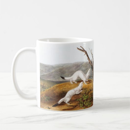 Little Nimble Weasel Putorius agilis Illustration Kaffeetasse (Links)