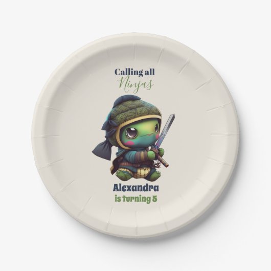 Little Ninja Turtle Kindergeburtstag Pappteller (Vorderseite)
