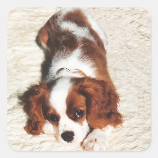 Little One Cavalier King Charles Spaniel Sticker (Vorderseite)