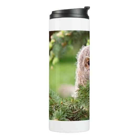 Little Owl 11 Thermosbecher (Nach links gedreht)