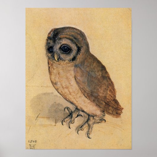 Little Owl, 1508 von Albrecht Durer Poster (Vorne)