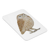 Little Owl 2011 Magnet (Rechte Seite)