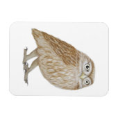 Little Owl 2011 Magnet (Horizontal)