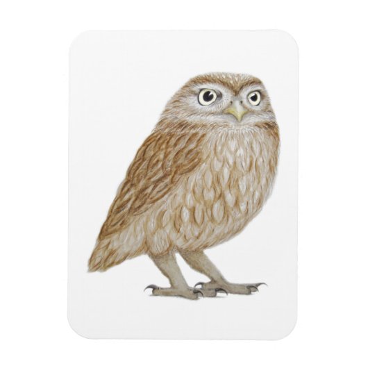 Little Owl 2011 Magnet (Vertikal)