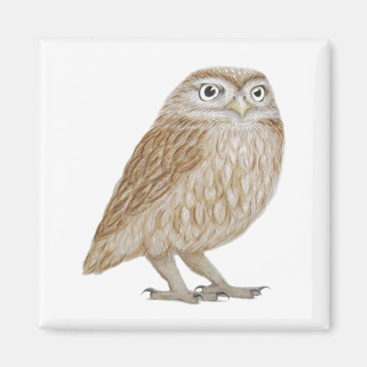 Little Owl 2011 Magnet (Vorne)