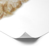 Little Owl 2011 Poster (Ecke)