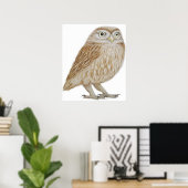 Little Owl 2011 Poster (Heimbüro)