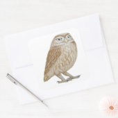Little Owl 2011 Quadratischer Aufkleber (Umschlag)