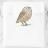 Little Owl 2011 Quadratischer Aufkleber (Tasche)