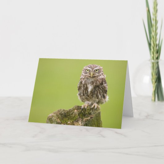 Little Owl Card by cARTerART Karte (Vorderseite)