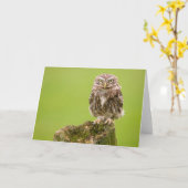 Little Owl Card by cARTerART Karte (Gelbe Blume)