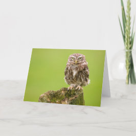 Little Owl Card by cARTerART Karte