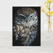 Little Owl Greetings Card Karte (Gelbe Blume)