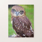 Little Owl Jigsaw Puzzle (Vertikal)