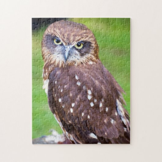 Little Owl Jigsaw Puzzle (Vertikal)