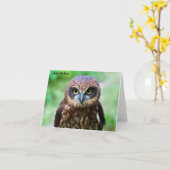 Little Owl Karte (Gelbe Blume)