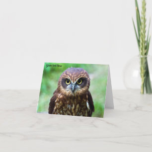 Little Owl Karte