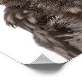 Little Owl mit einem Strohhut - Athene noctua Poster (Ecke)