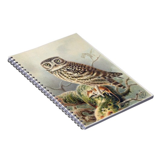 Little Owl Notebook Notizblock (Rechte Seite)