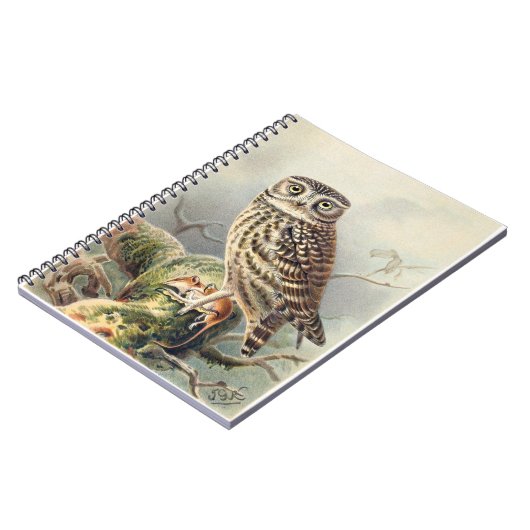Little Owl Notebook Notizblock (Linke Seite)