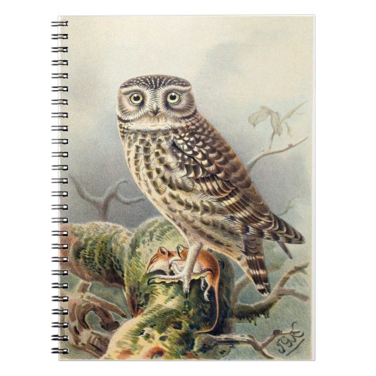 Little Owl Notebook Notizblock (Vorderseite)