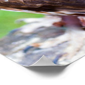 Little Owl Poster (Ecke)