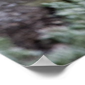Little Owl Poster (Ecke)