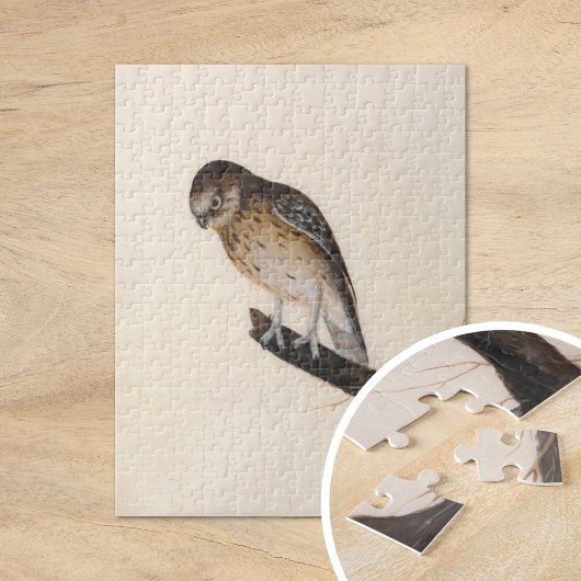 Little Owl | William Lewin Puzzle