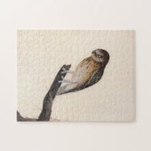 Little Owl | William Lewin Puzzle (Horizontal)