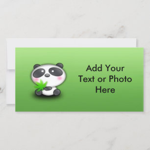 Little Panda Cub